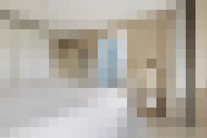 Mozartlaan 30 Breda thumbnail 61