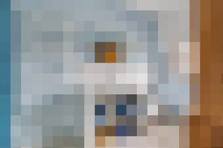 Mozartlaan 30 Breda thumbnail 64