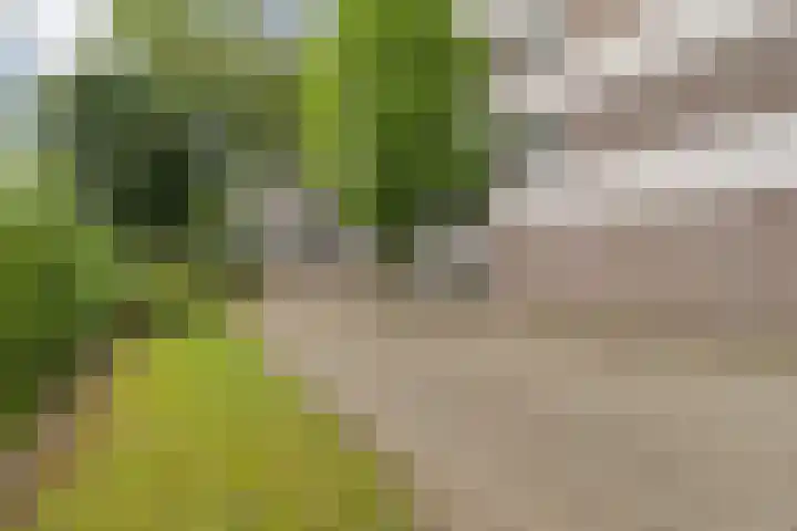 Mozartlaan 30 Breda thumbnail 67
