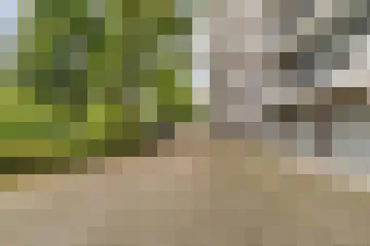 Mozartlaan 30 Breda thumbnail 68