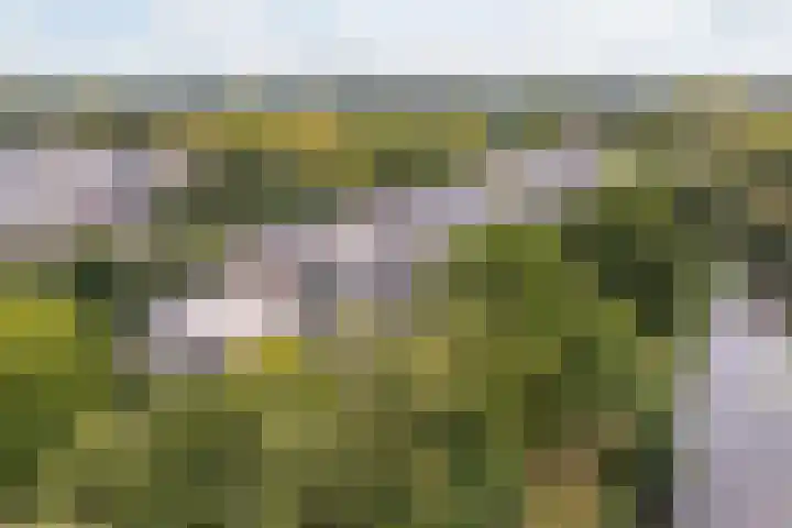 Mozartlaan 30 Breda thumbnail 7