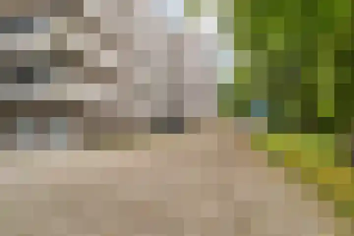 Mozartlaan 30 Breda thumbnail 70