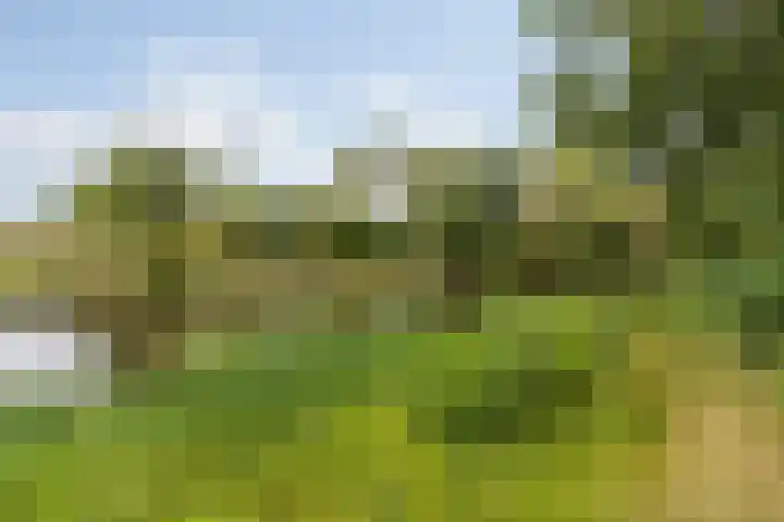 Mozartlaan 30 Breda thumbnail 73