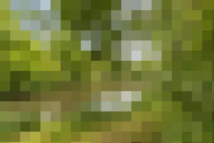Mozartlaan 30 Breda thumbnail 74