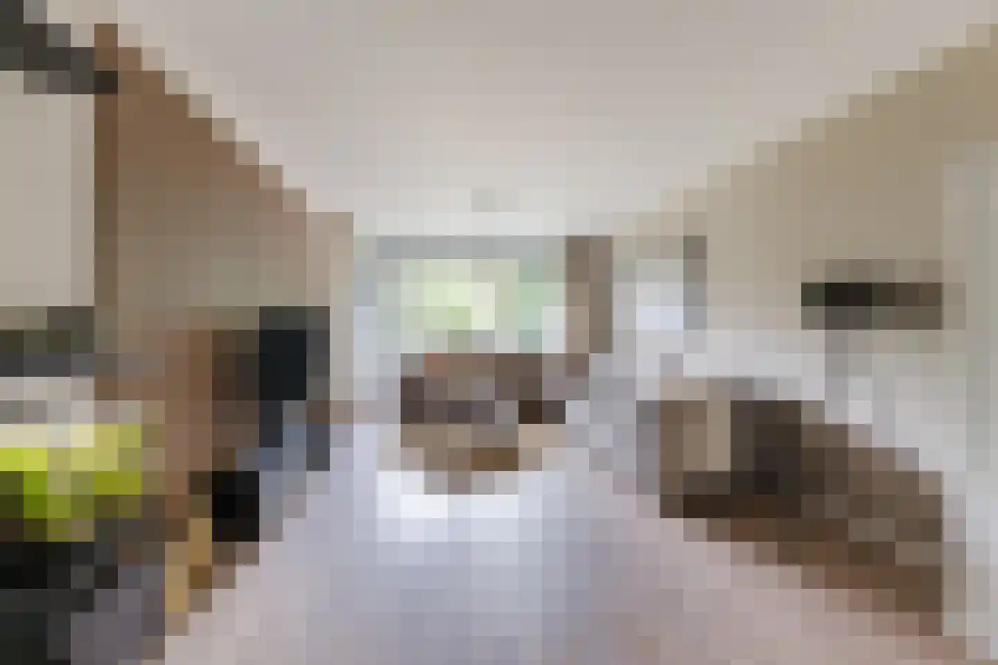 Mozartlaan 301 Tilburg thumbnail 11