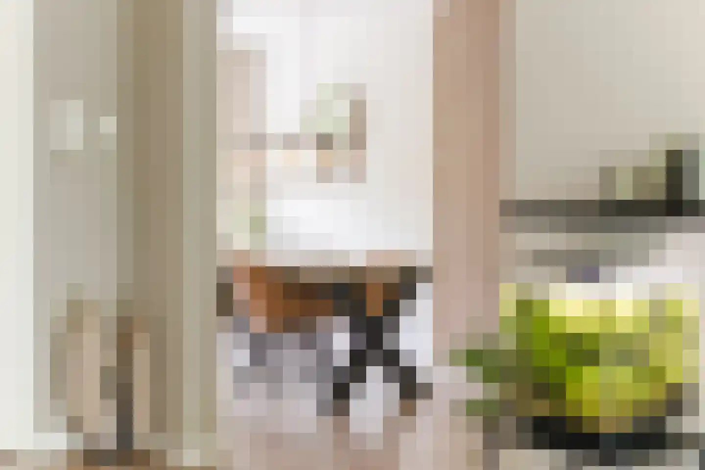 Mozartlaan 301 Tilburg thumbnail 18