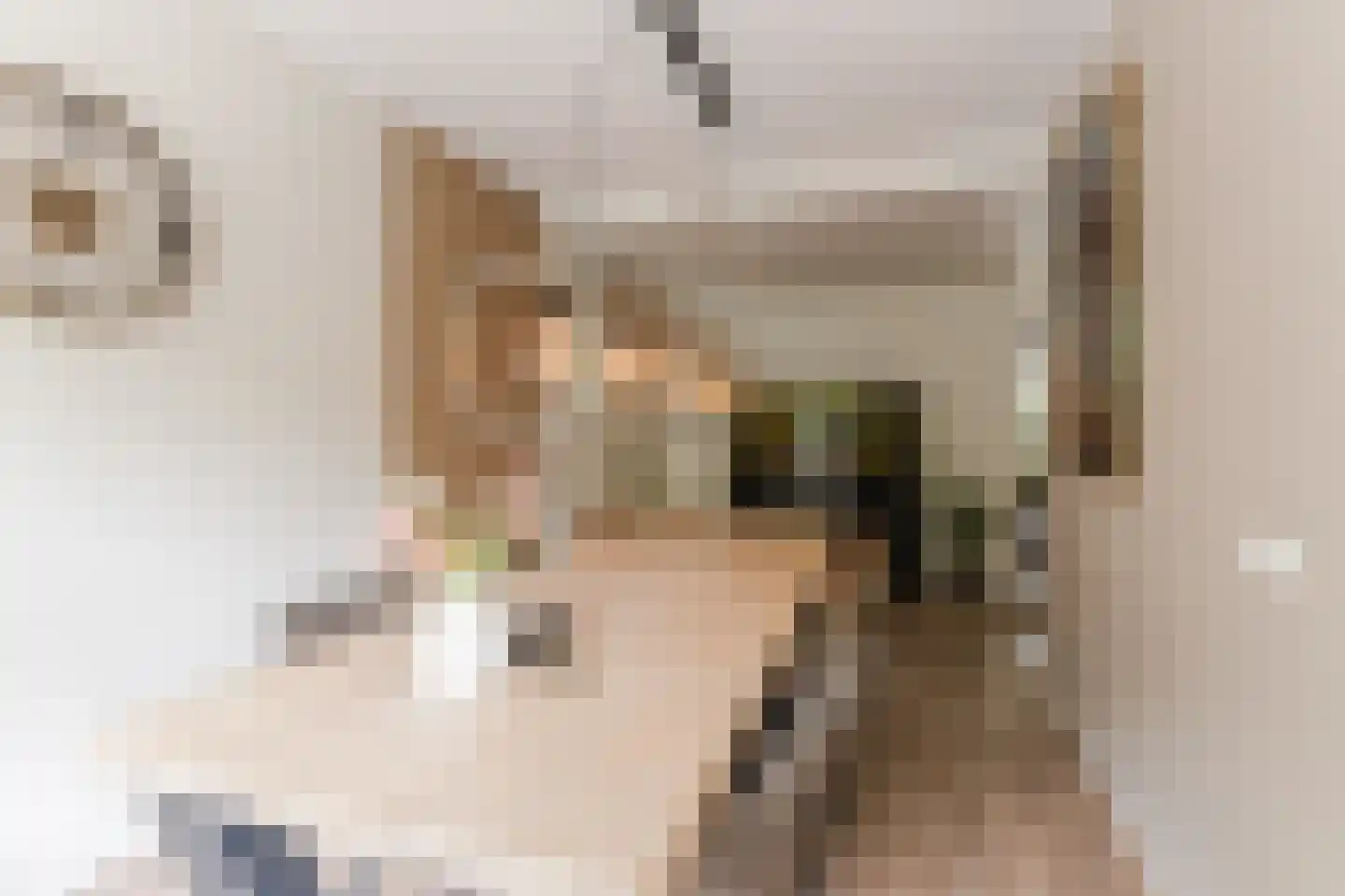 Mozartlaan 301 Tilburg thumbnail 20