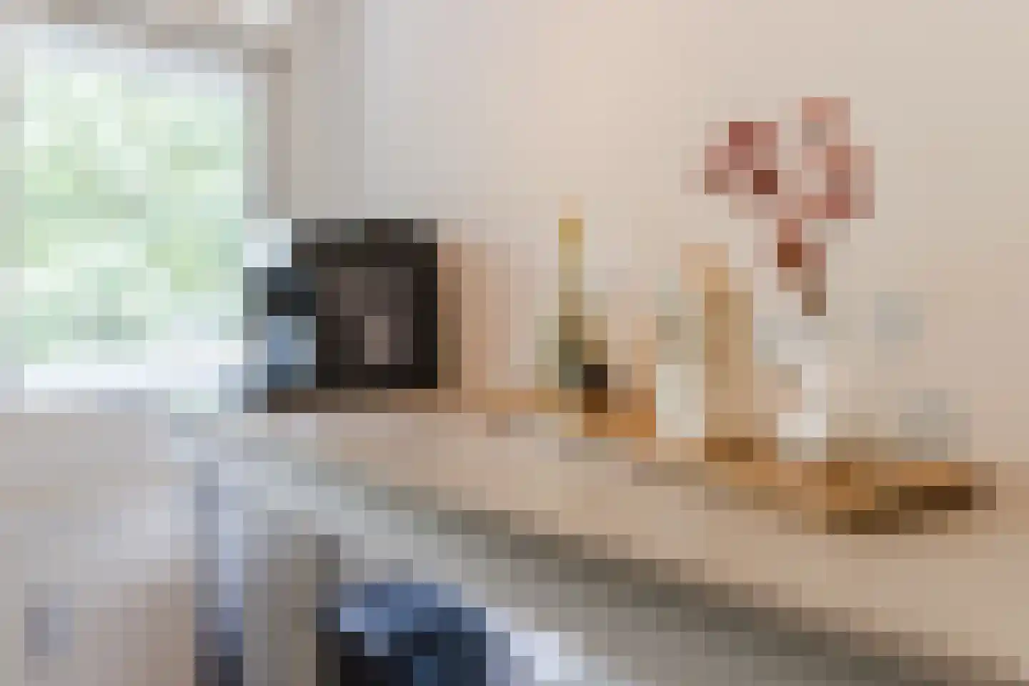 Mozartlaan 301 Tilburg thumbnail 24
