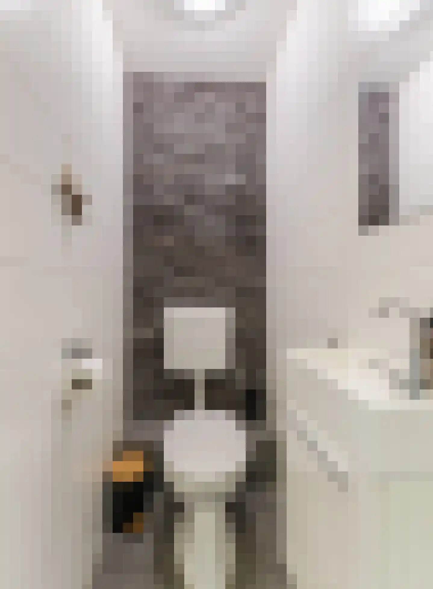 Mozartlaan 301 Tilburg thumbnail 30