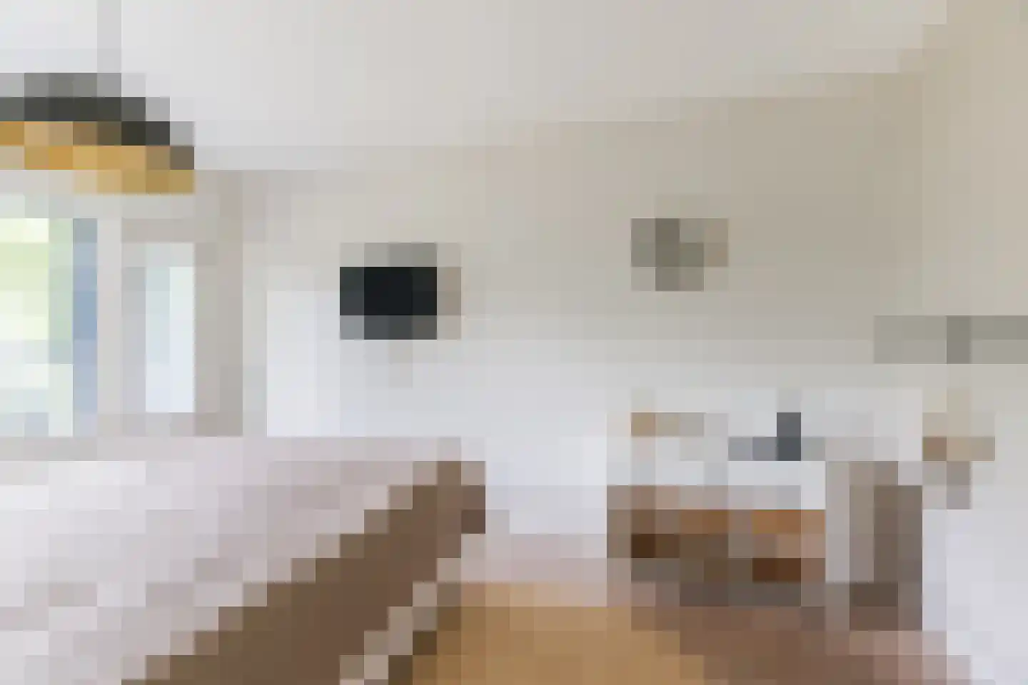 Mozartlaan 301 Tilburg thumbnail 34