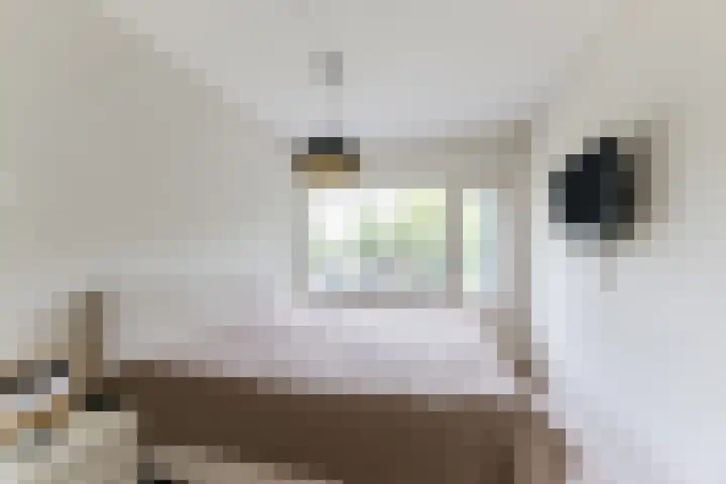 Mozartlaan 301 Tilburg thumbnail 35