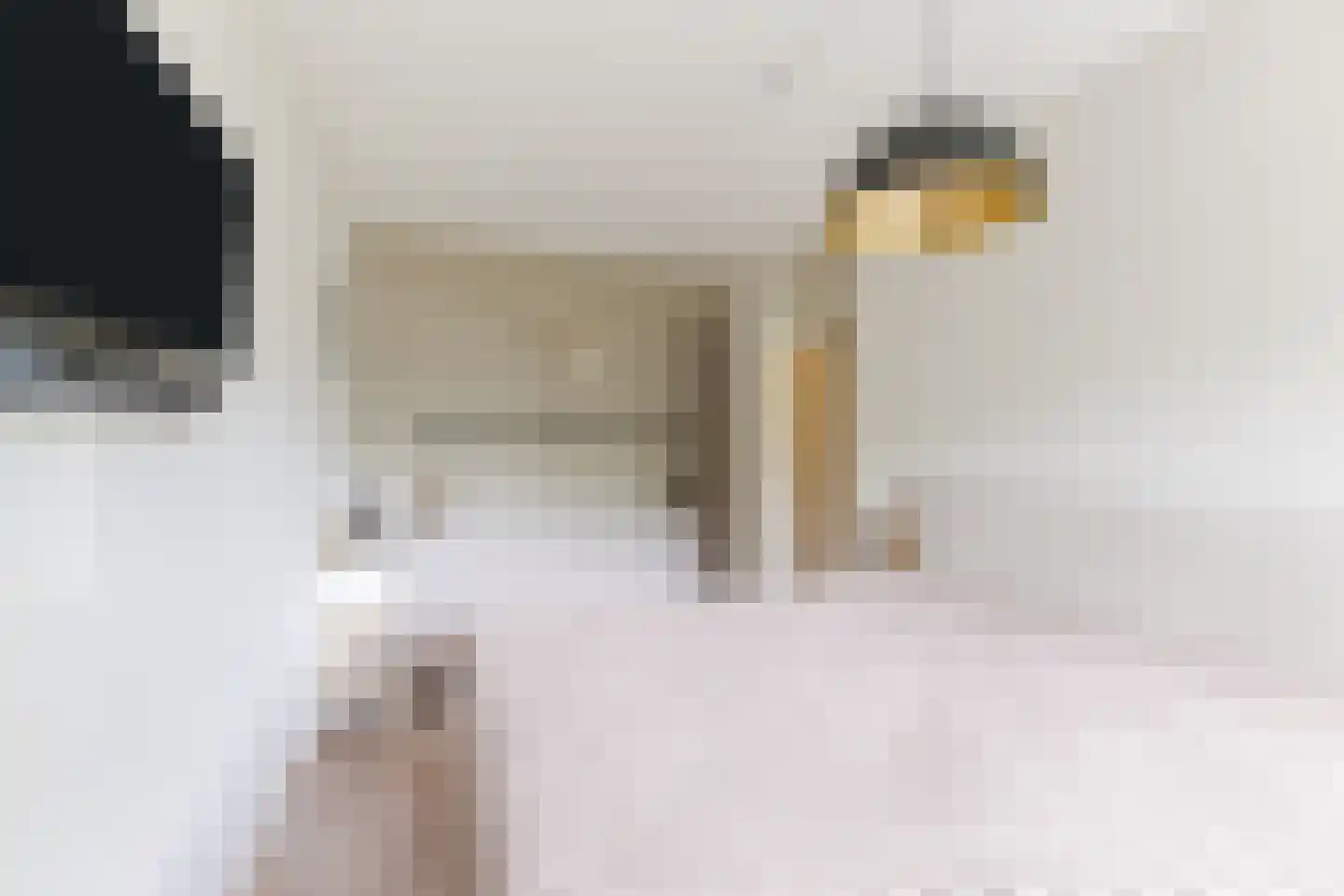 Mozartlaan 301 Tilburg thumbnail 36