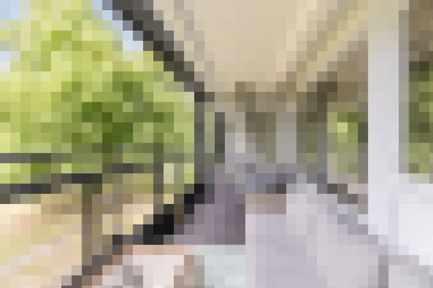 Mozartlaan 301 Tilburg thumbnail 5