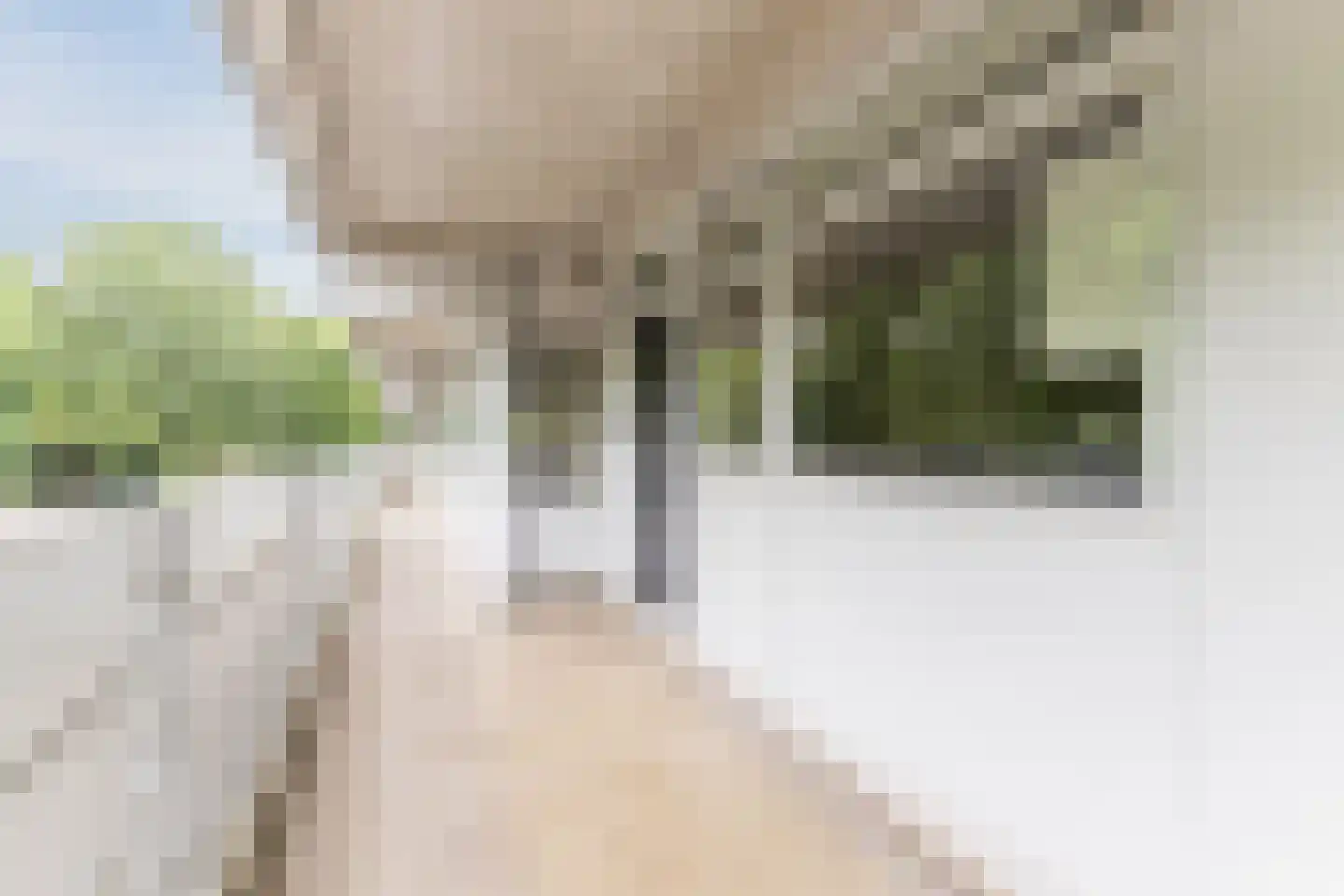 Mozartlaan 301 Tilburg thumbnail 8