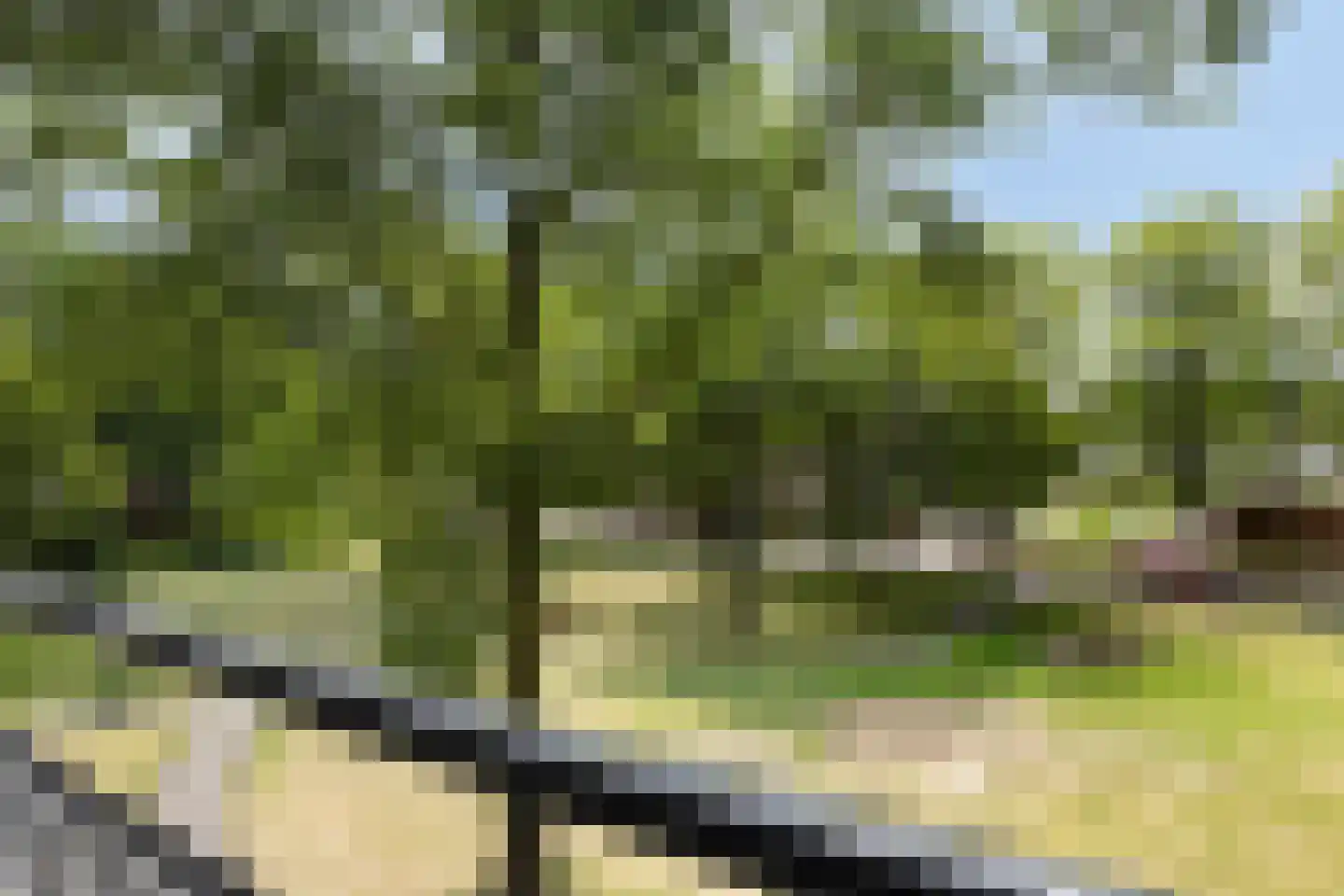 Mozartlaan 303 Tilburg thumbnail 10