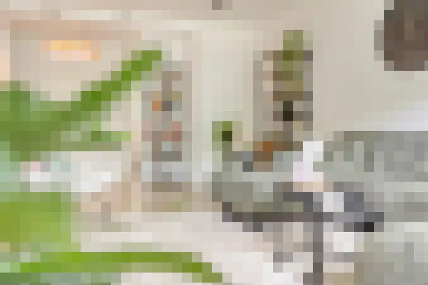 Mozartlaan 303 Tilburg thumbnail 11