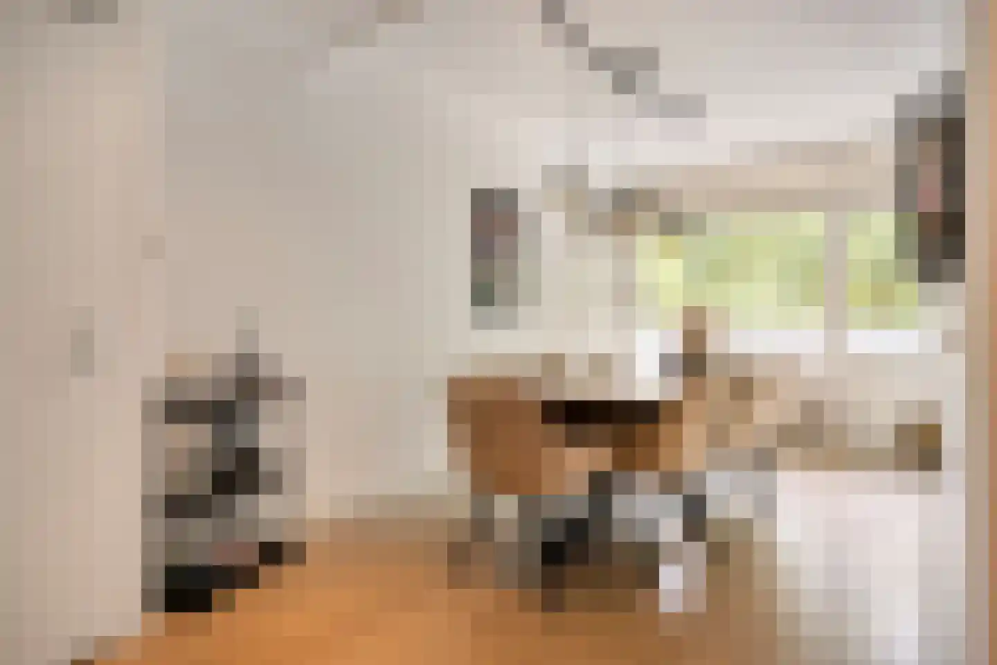 Mozartlaan 303 Tilburg thumbnail 12