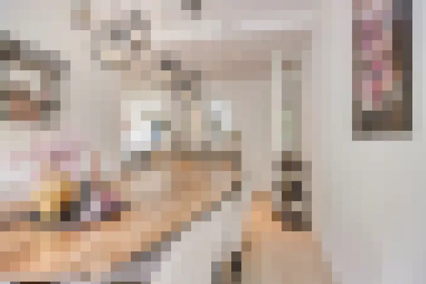 Mozartlaan 303 Tilburg thumbnail 13