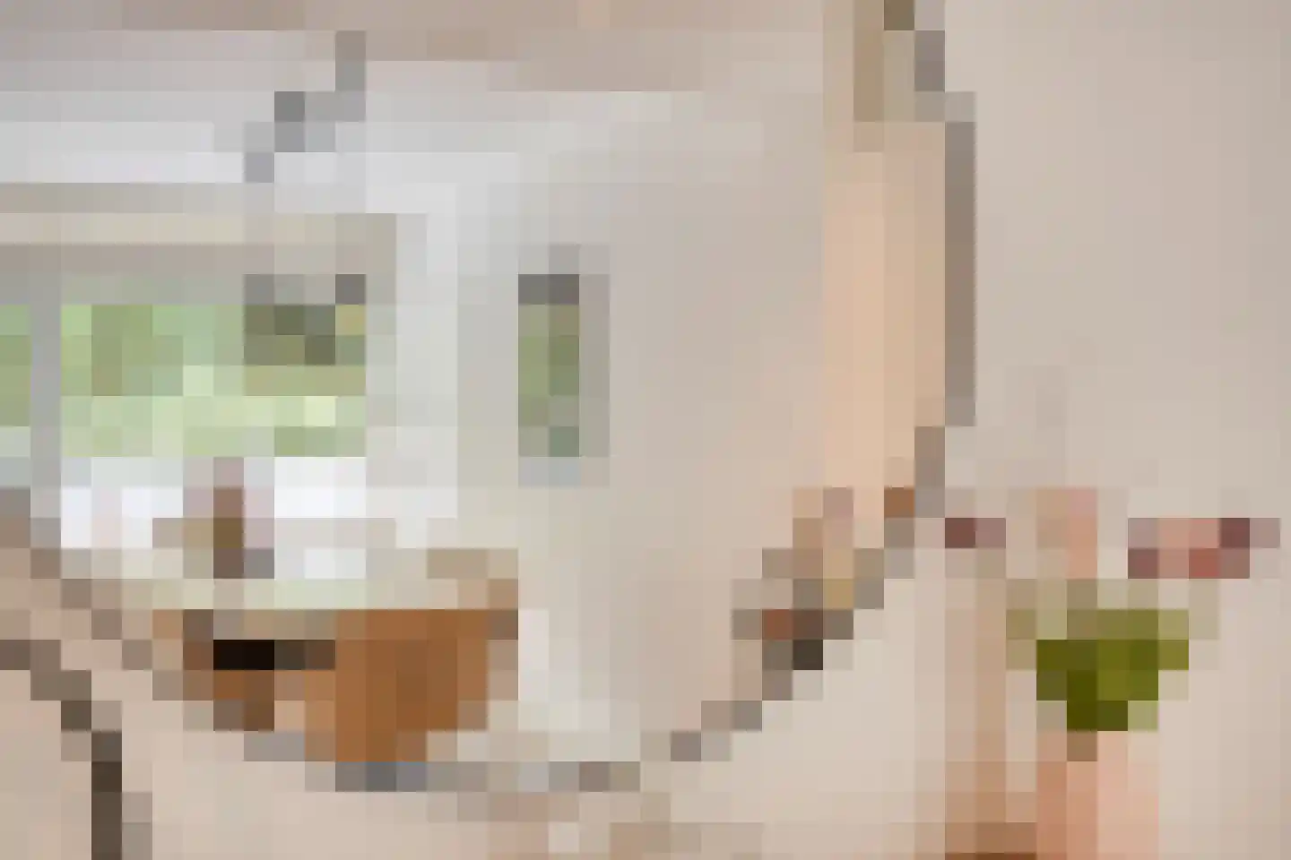 Mozartlaan 303 Tilburg thumbnail 14