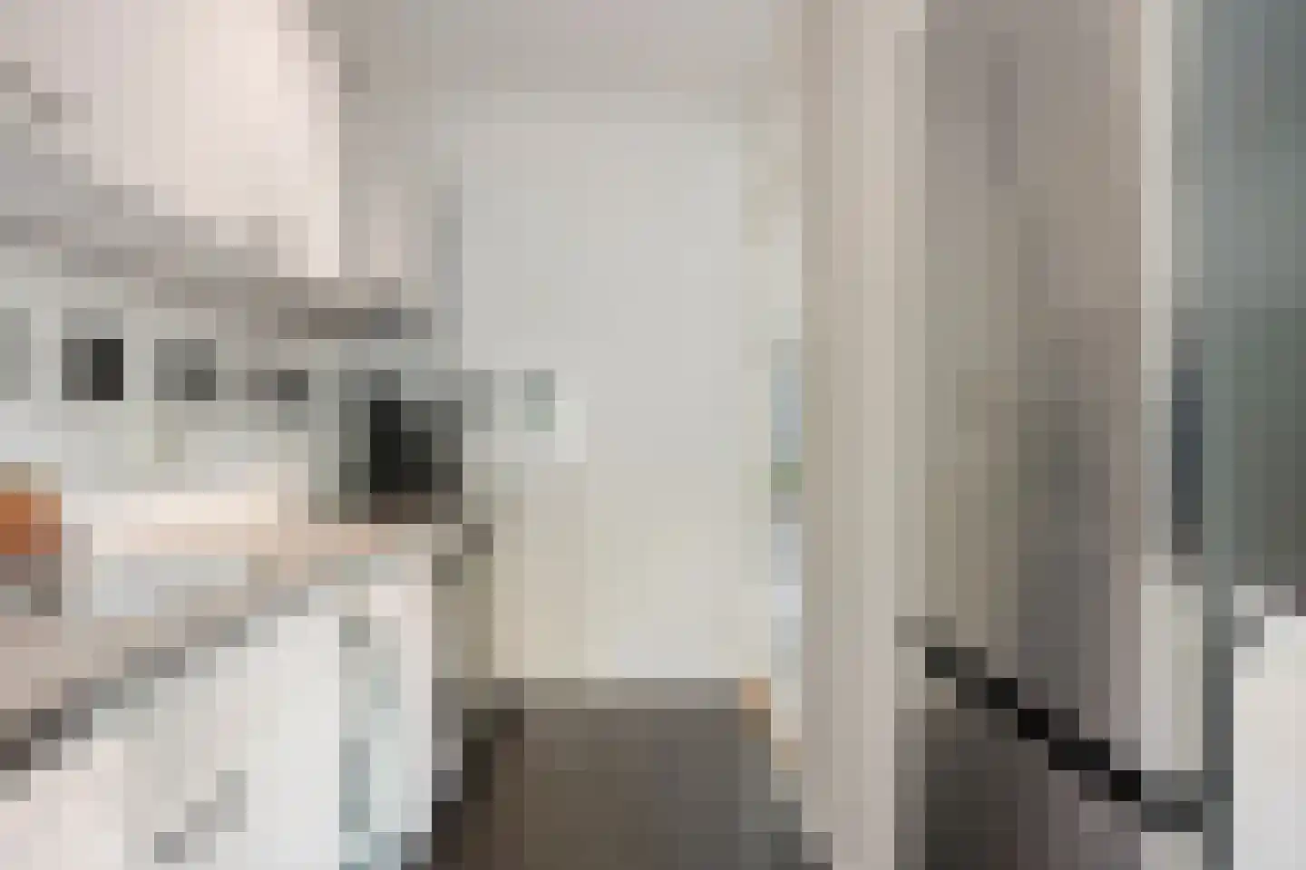 Mozartlaan 303 Tilburg thumbnail 17