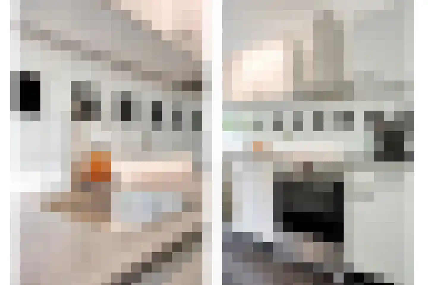 Mozartlaan 303 Tilburg thumbnail 19