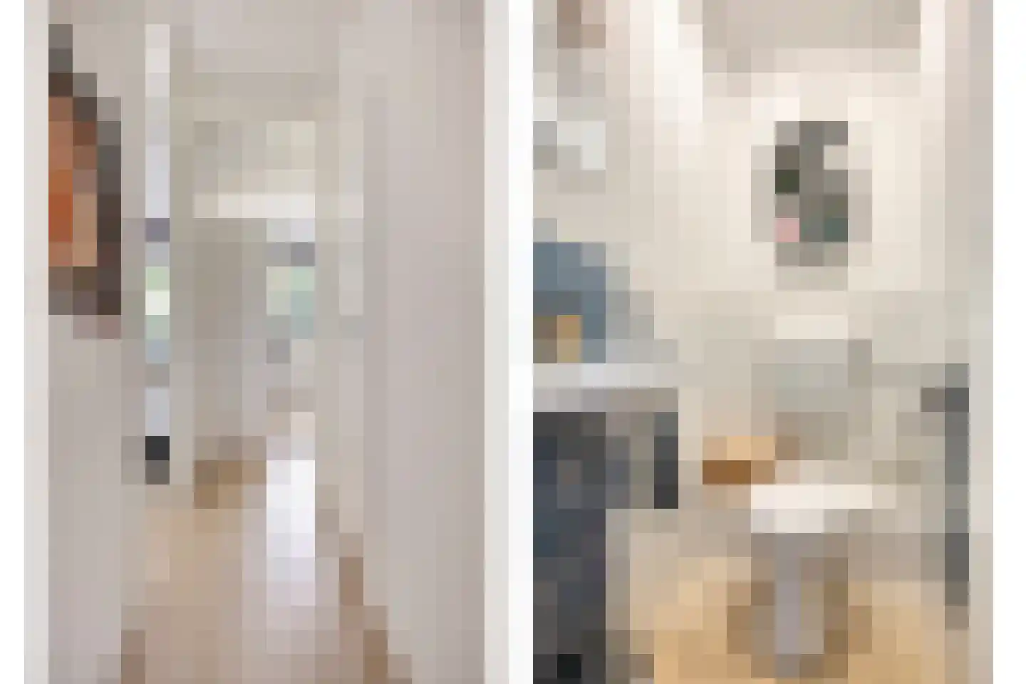 Mozartlaan 303 Tilburg thumbnail 20