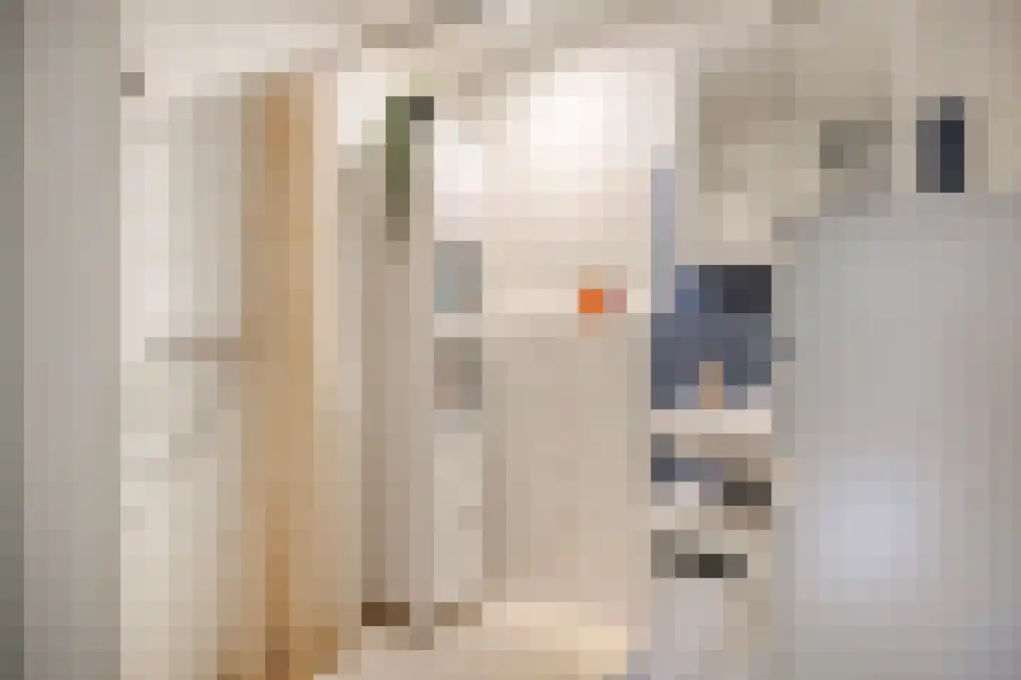 Mozartlaan 303 Tilburg thumbnail 21
