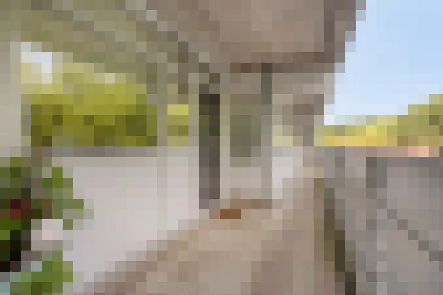Mozartlaan 303 Tilburg thumbnail 28