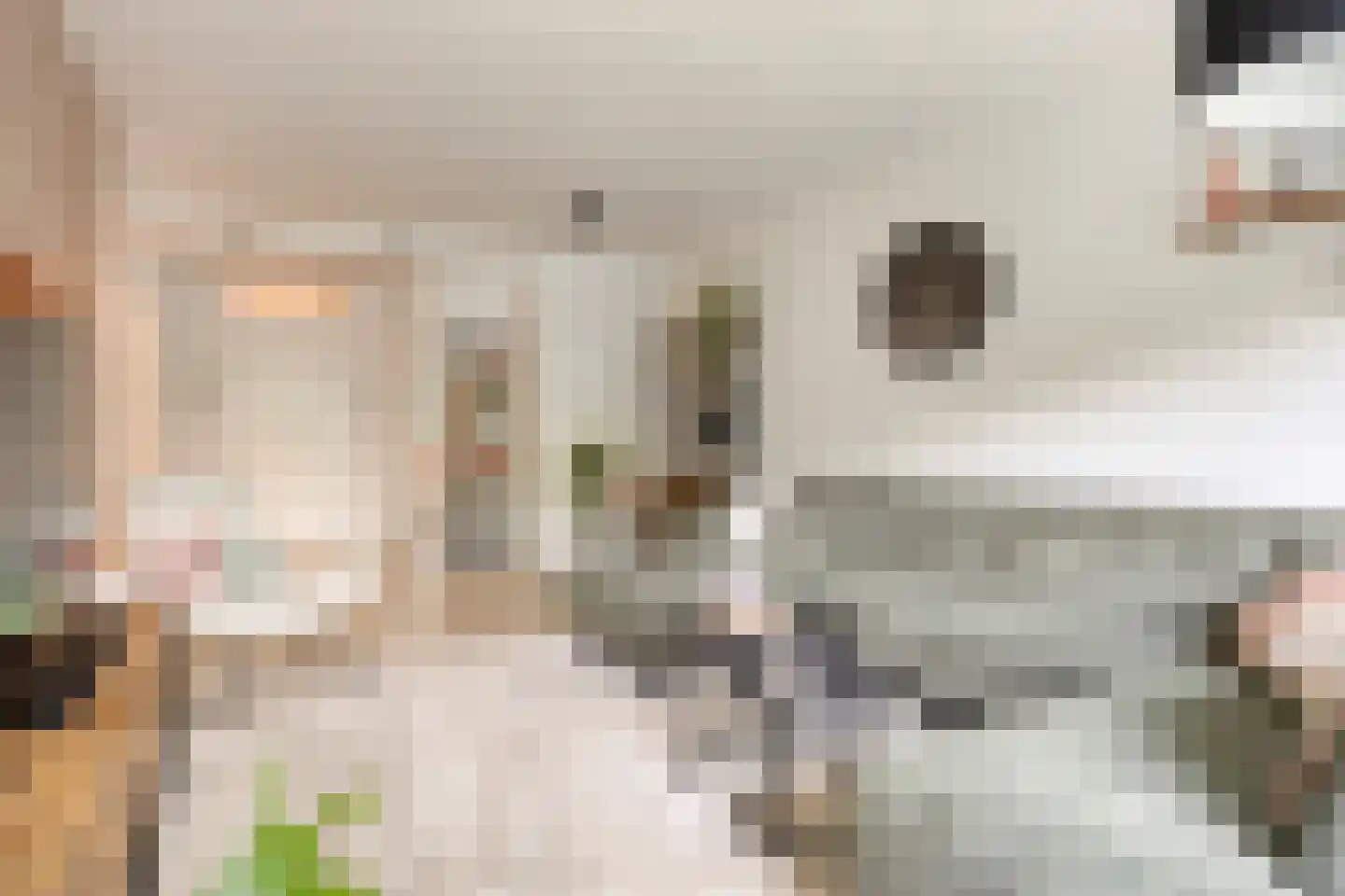 Mozartlaan 303 Tilburg thumbnail 5