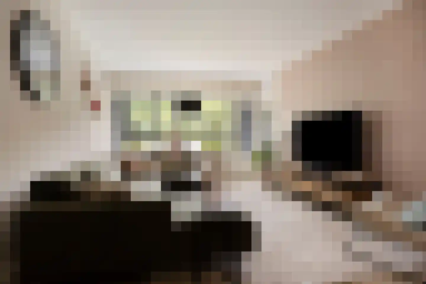 Mozartlaan 303 Tilburg thumbnail 6