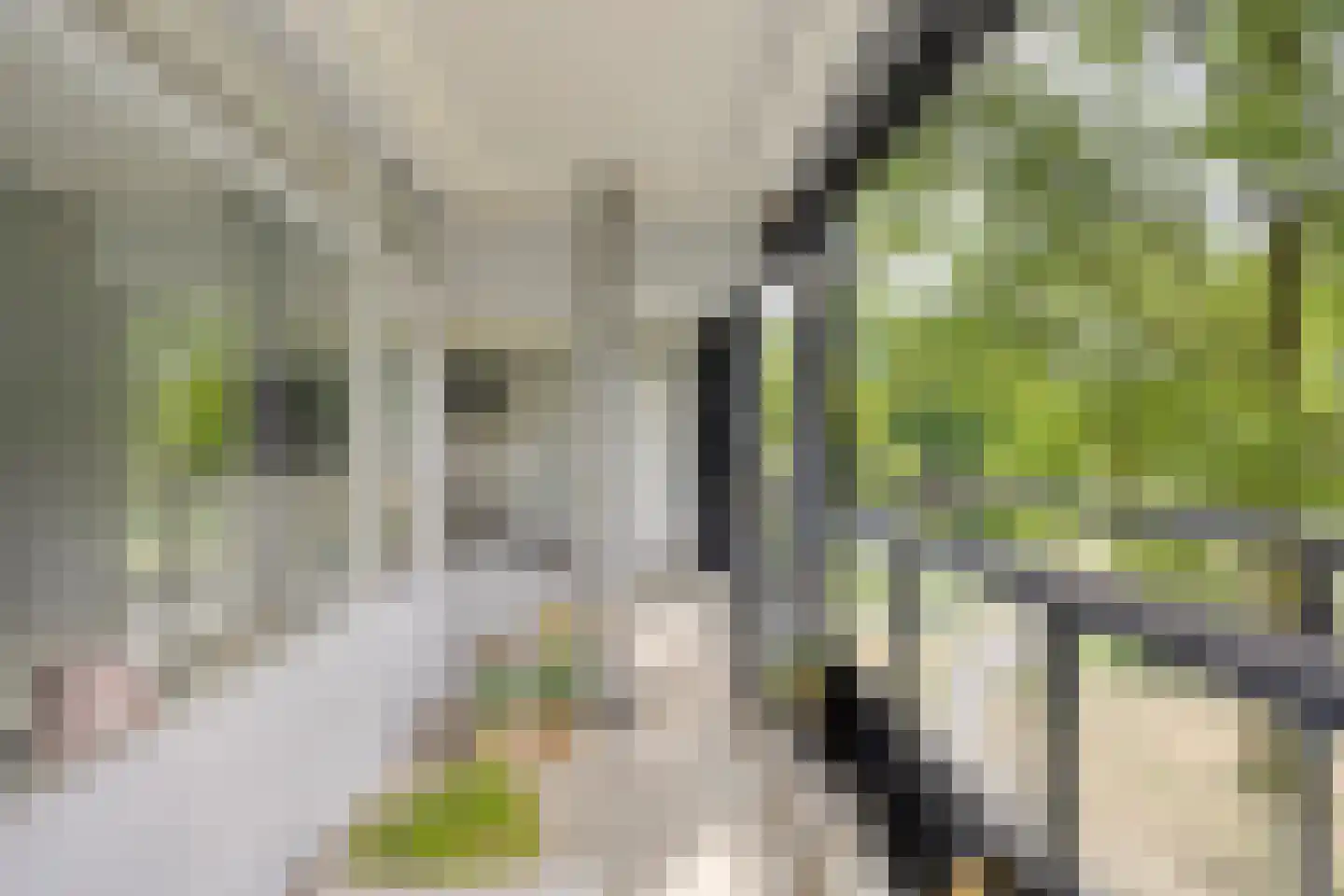 Mozartlaan 303 Tilburg thumbnail 8
