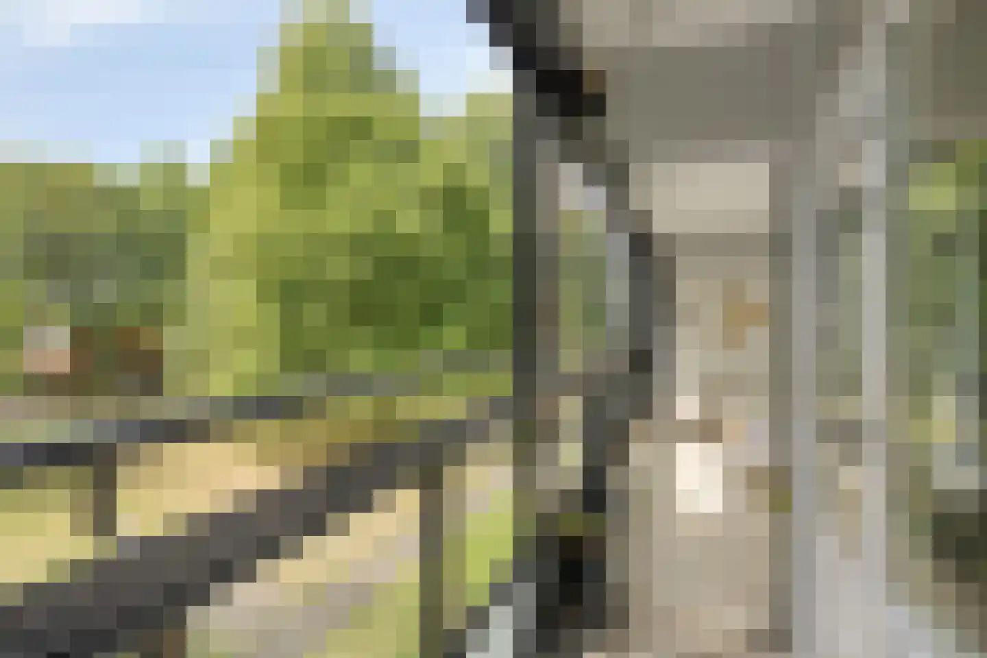 Mozartlaan 303 Tilburg thumbnail 9