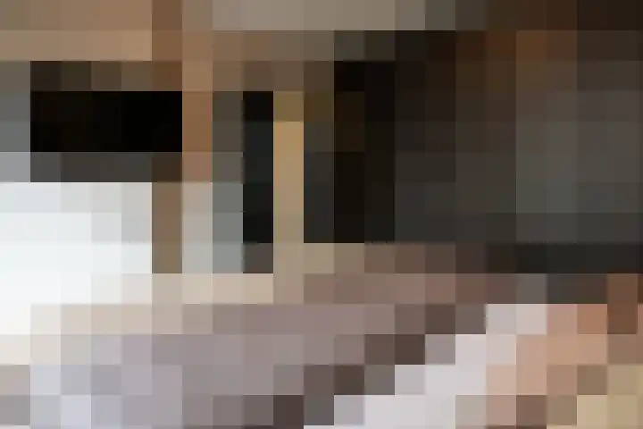 Mozartlaan 329 Den Haag thumbnail 13