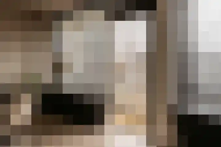 Mozartlaan 329 Den Haag thumbnail 21