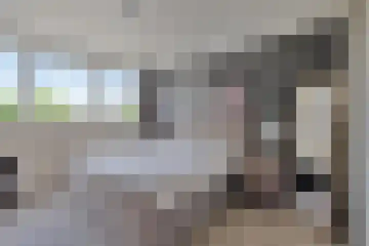 Mozartlaan 33 Bergen op Zoom thumbnail 11