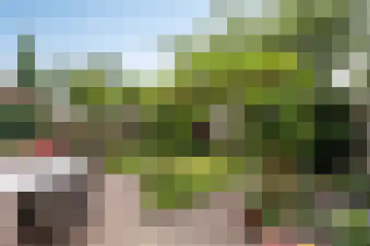 Mozartlaan 33 Bergen op Zoom thumbnail 22
