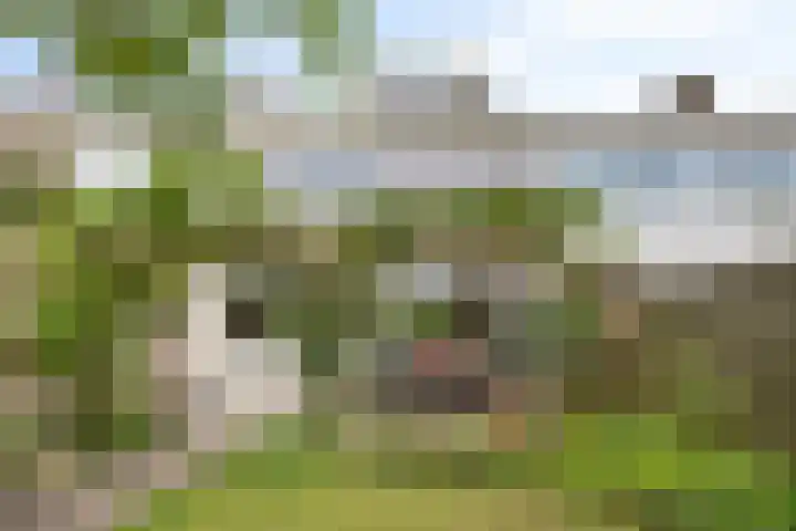 Mozartlaan 33 Bergen op Zoom thumbnail 26