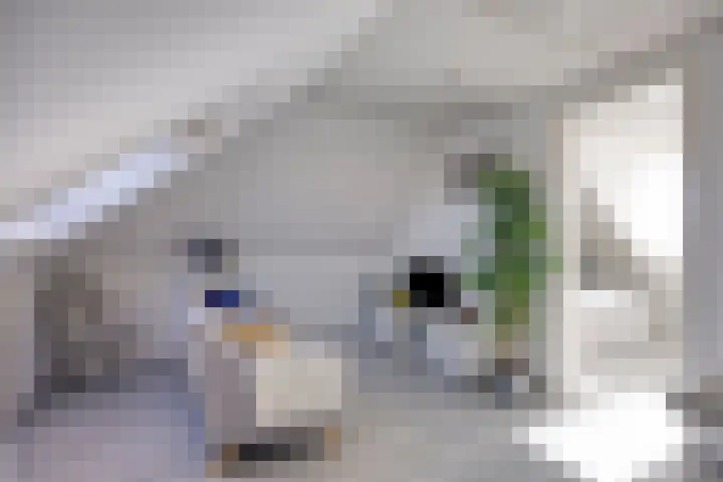 Mozartlaan 33 Nieuw-Vennep thumbnail 31