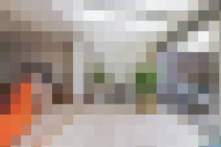 Mozartlaan 33 Waalwijk thumbnail 12