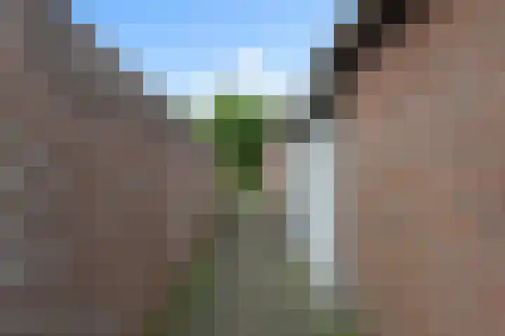 Mozartlaan 33 Waalwijk thumbnail 38