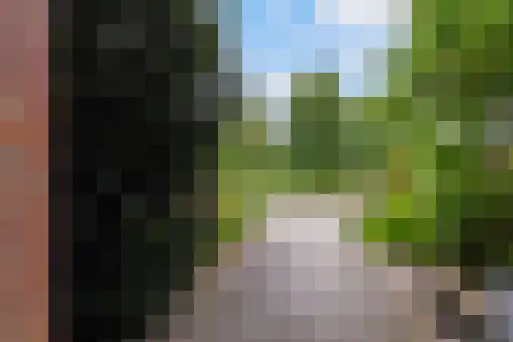 Mozartlaan 33 Waalwijk thumbnail 41