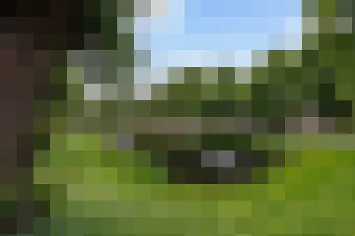 Mozartlaan 33 Waalwijk thumbnail 43