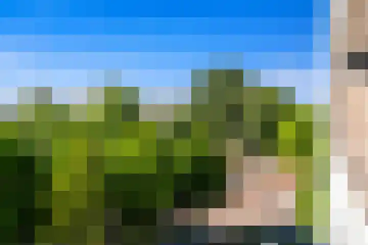 Mozartlaan 330 Den Haag thumbnail 13