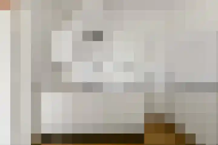 Mozartlaan 330 Den Haag thumbnail 18