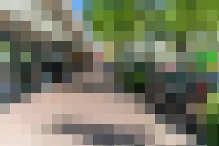 Mozartlaan 330 Den Haag thumbnail 24