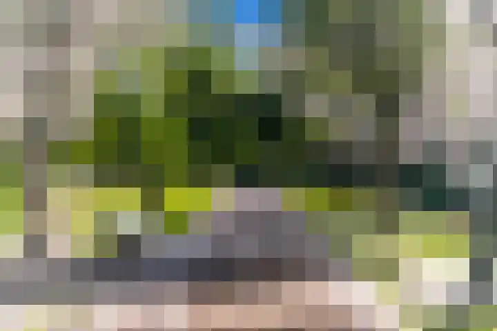 Mozartlaan 330 Den Haag thumbnail 29