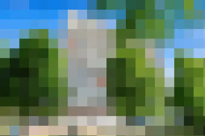 Mozartlaan 330 Den Haag thumbnail 35