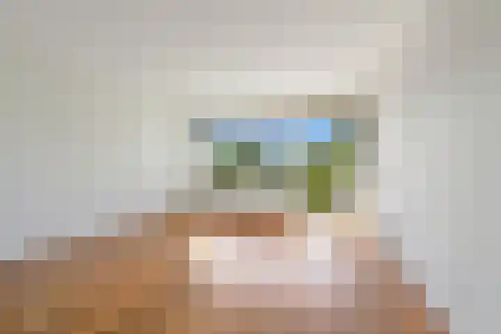 Mozartlaan 330 Den Haag thumbnail 9