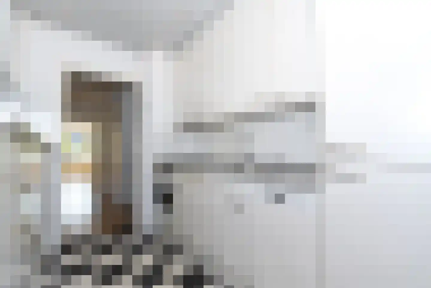 Mozartlaan 339 Den Haag thumbnail 18
