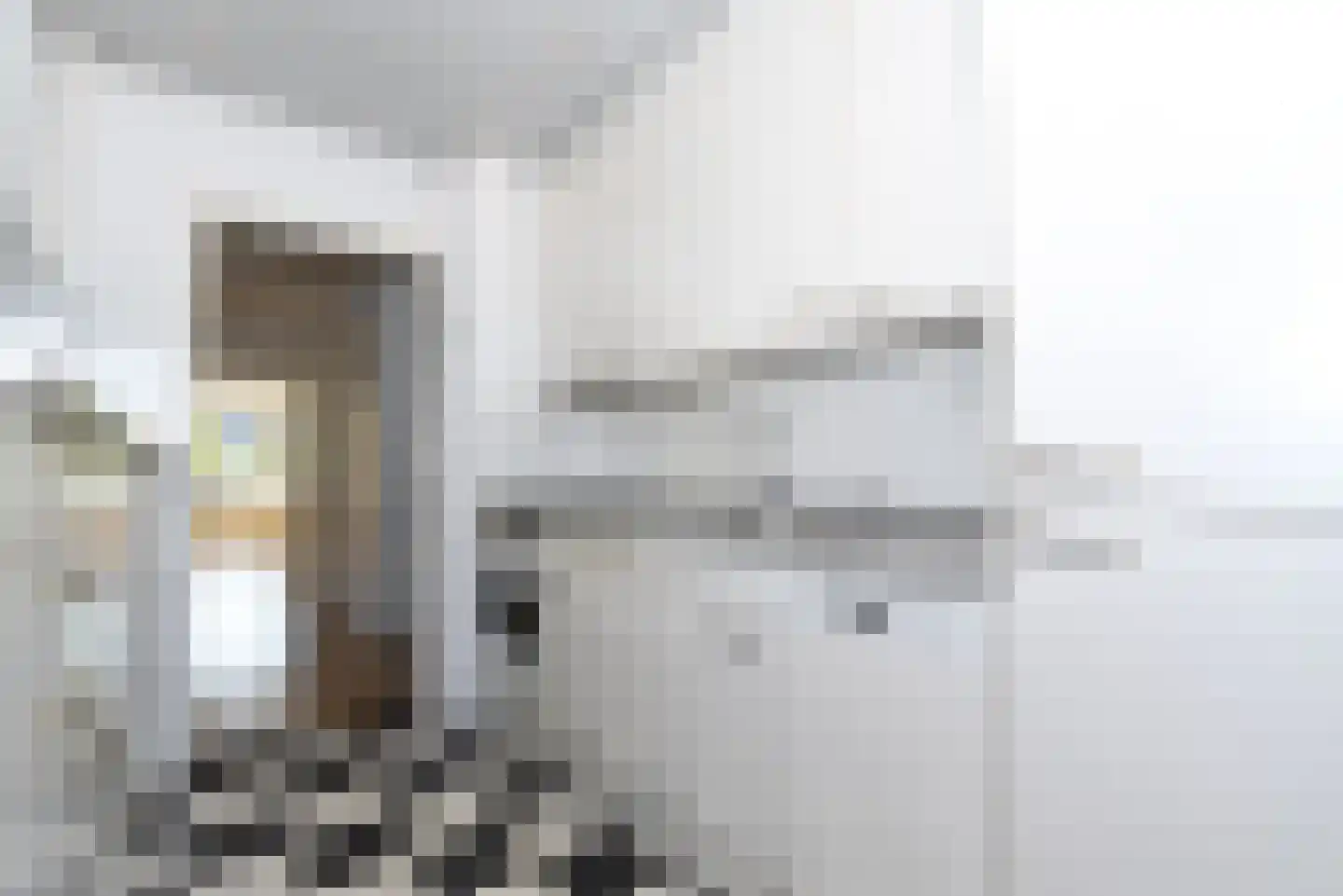 Mozartlaan 339 Den Haag thumbnail 18